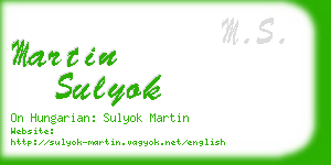 martin sulyok business card